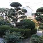 鳥取市O様邸-素晴らしい植木達に感激